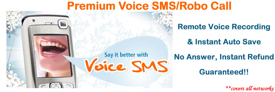 voice sms robot call