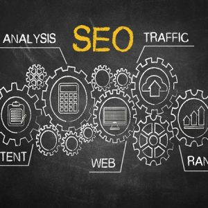 Search Engine Optimization (Pro) Plan