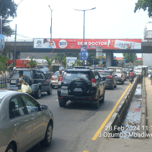 Bridge Panel Bonnycamp flyover bridge FTF Ozumba Lagos